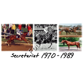 Secretariat Thumbnail