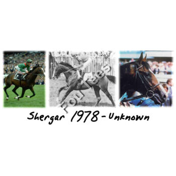 Shergar Thumbnail