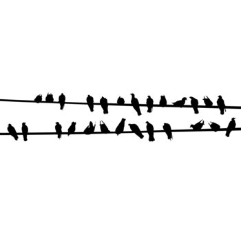 Birds on the line Thumbnail