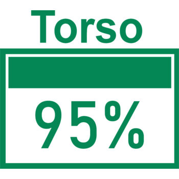 Torso 95 Thumbnail