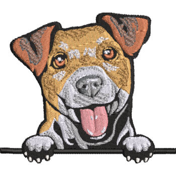 Jack Russell Thumbnail