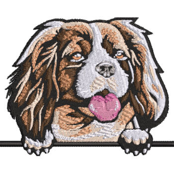 King Charles  Thumbnail