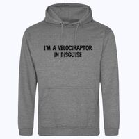 College hoodie Thumbnail