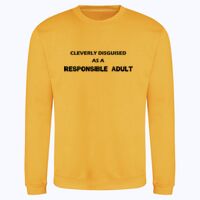 AWDis sweatshirt. Thumbnail