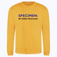 AWDis sweatshirt. Thumbnail