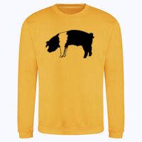 AWDis sweatshirt. Thumbnail