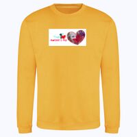AWDis sweatshirt. Thumbnail