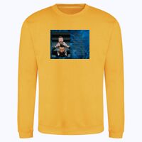 AWDis sweatshirt. Thumbnail
