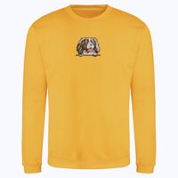 AWDis sweatshirt. Thumbnail