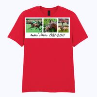 Softstyle™ adult ringspun t-shirt Thumbnail