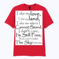 Softstyle™ adult ringspun t-shirt Thumbnail