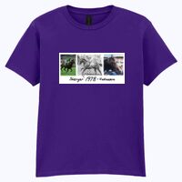 Softstyle™ youth ringspun t-shirt Thumbnail