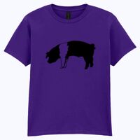 Softstyle™ youth ringspun t-shirt Thumbnail