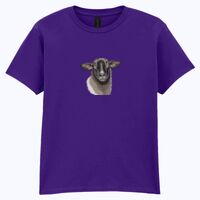 Softstyle™ youth ringspun t-shirt Thumbnail